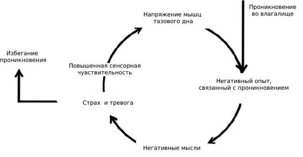Цикл страха и напряжения при вагинизме