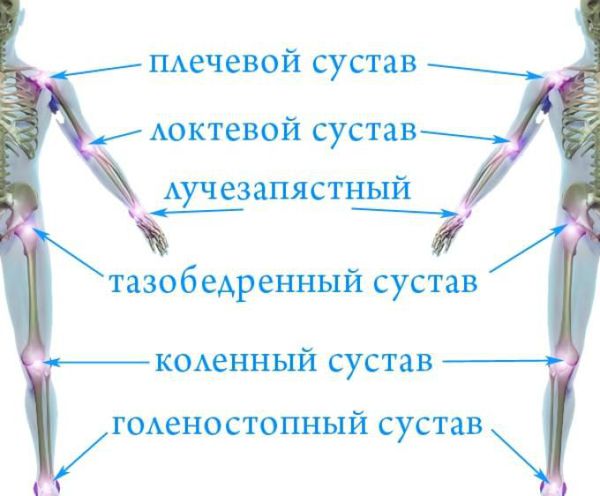 Крупные суставы тела