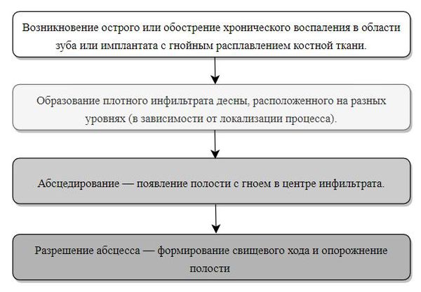 Стадии развития абсцесса