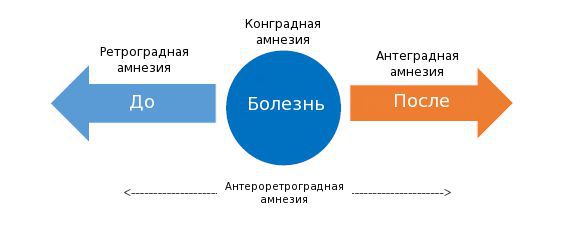 Виды амнезии по временному периоду утраты памяти