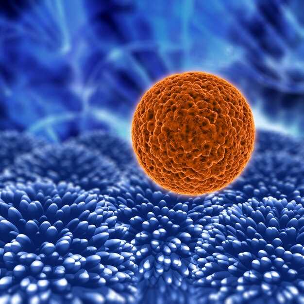 Фазы развития яйцеклетки от зародышевых клеток до половозрелой яйцеклетки